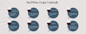 Red Wine Education Blog Graphic